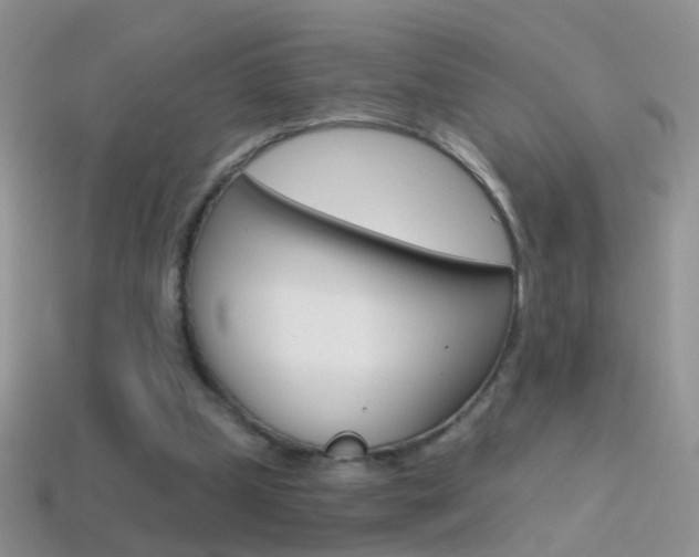 X0000114720249200910211058