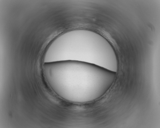 X0000114720250200910211058