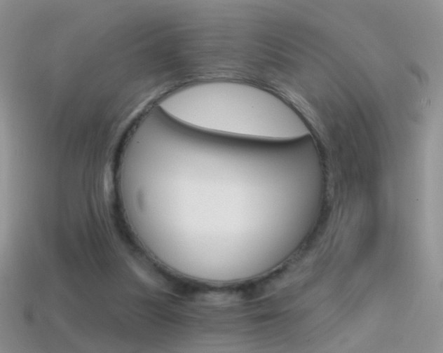 X0000114720251200910211058