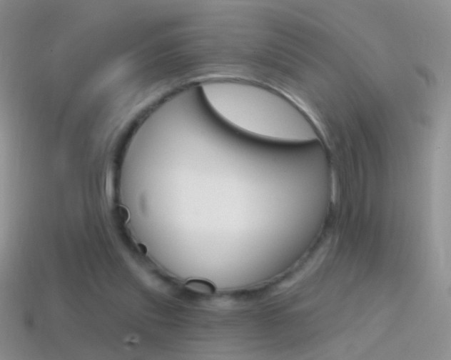 X0000114720253200910211058