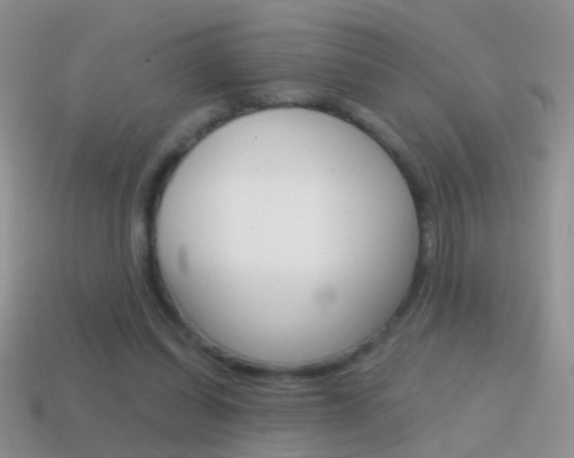 X0000114720254200910211058