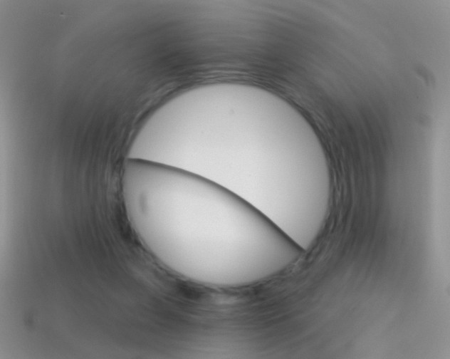 X0000114720255200910211058