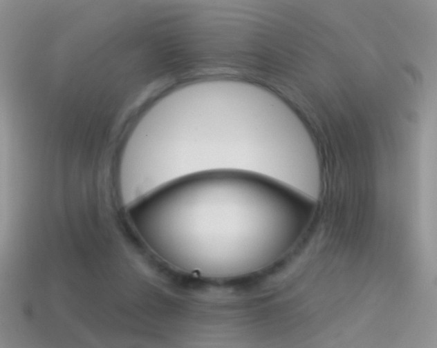 X0000114720256200910211058