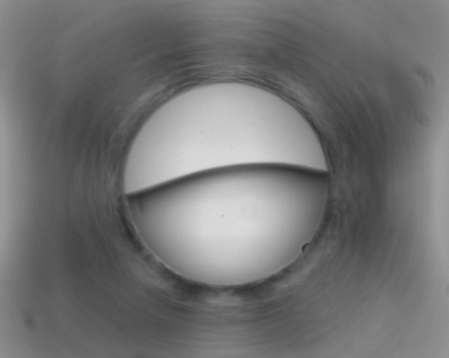 X0000114720258200910211058