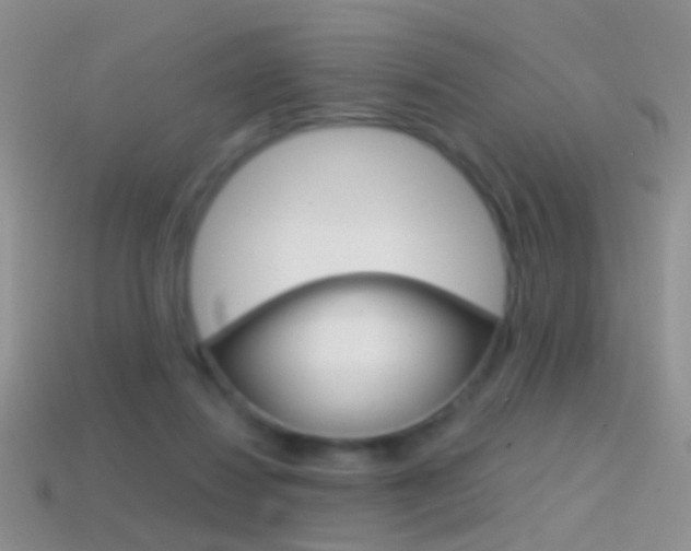 X0000114720260200910211058