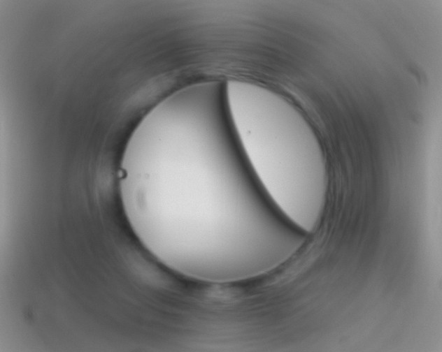 X0000114720261200910211058