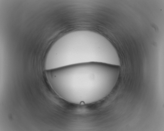 X0000114720262200910211058