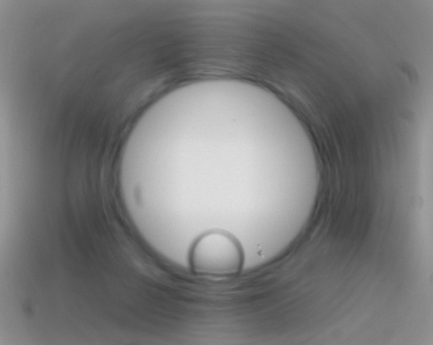 X0000114720264200910211058