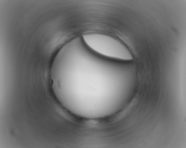 X0000114720265200910211058