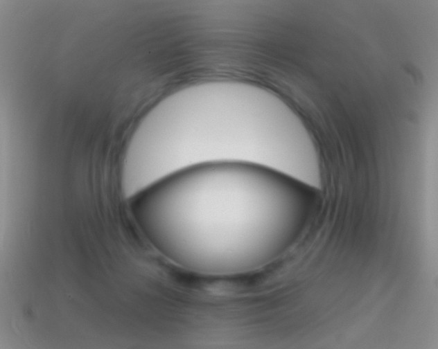 X0000114720268200910211058