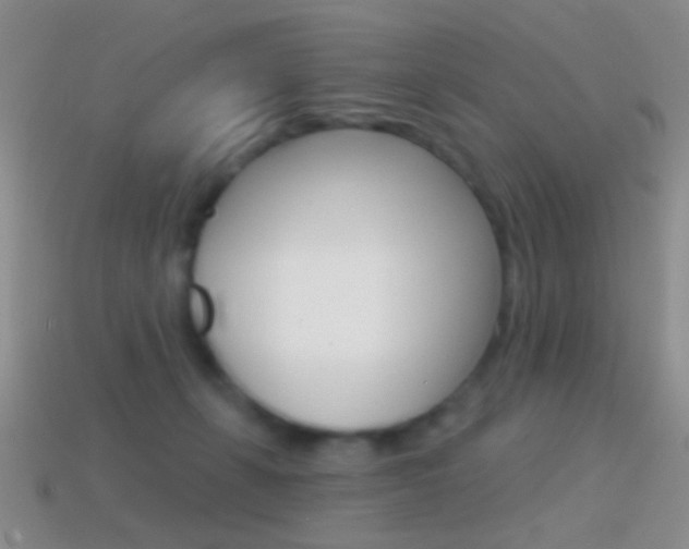 X0000114720271200910211058