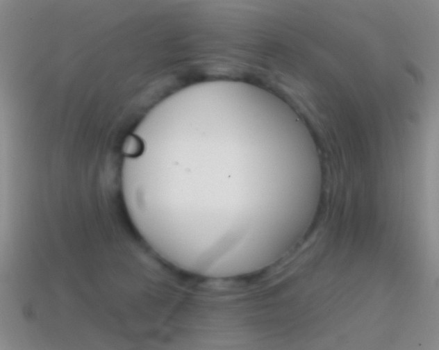 X0000114720273200910211058