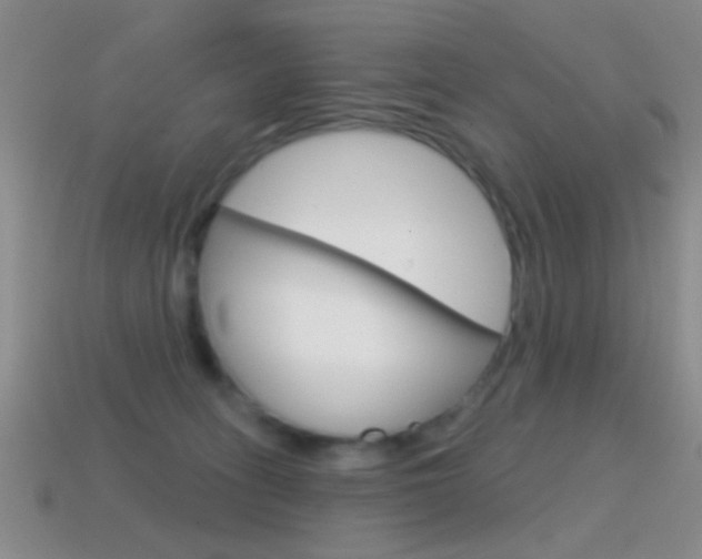 X0000114720275200910211058