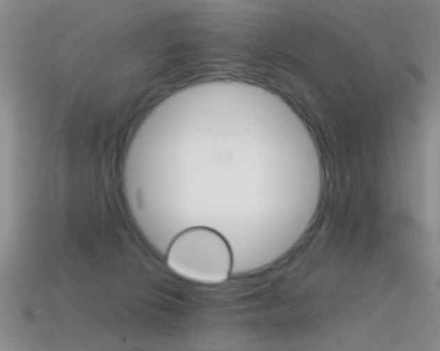 X0000114720276200910211058