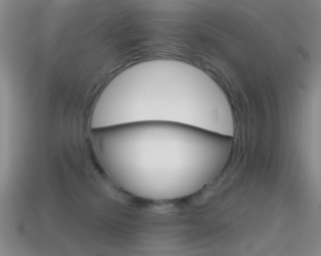 X0000114720278200910211058