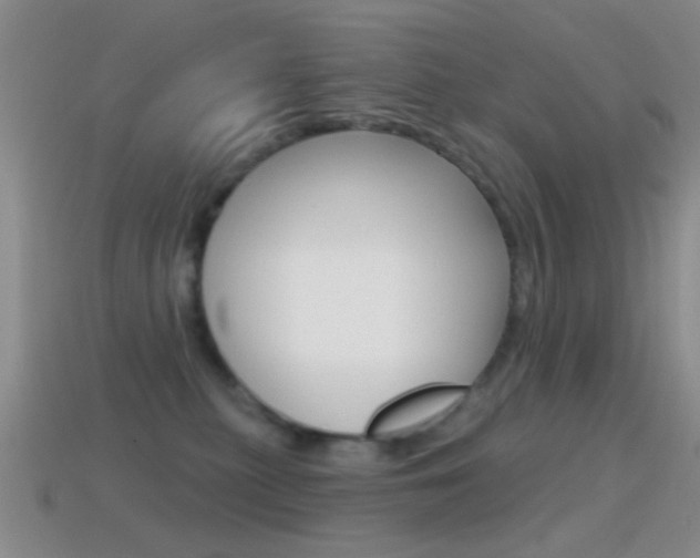 X0000114720279200910211058