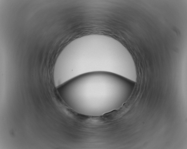 X0000114720280200910211058