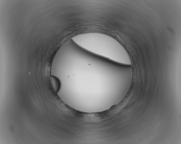 X0000114720281200910211058