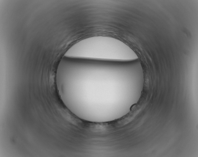 X0000114720282200910211058