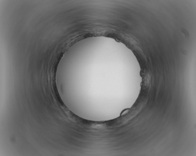 X0000114720283200910211058