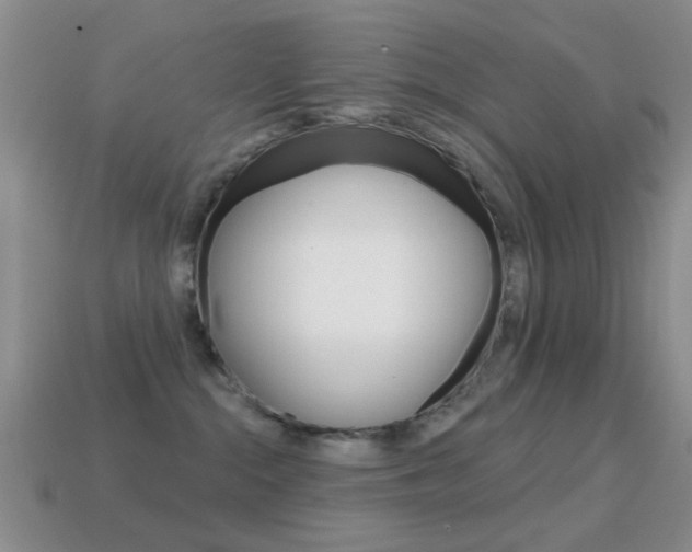 X0000114720284200910211058