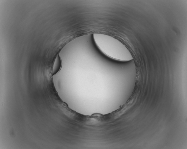 X0000114720285200910211058