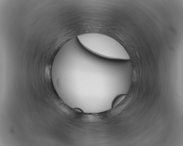 X0000114720286200910211058