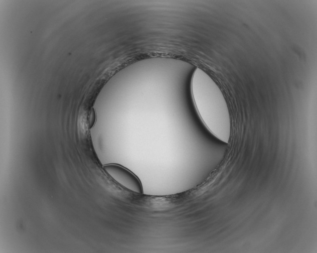 X0000114720287200910211058