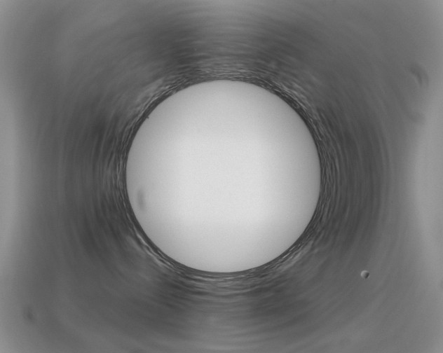 X0000114720288200910211058