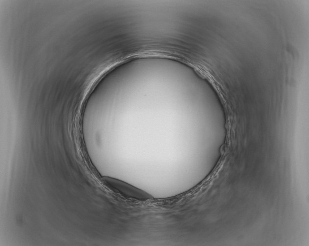 X0000114720289200910211058