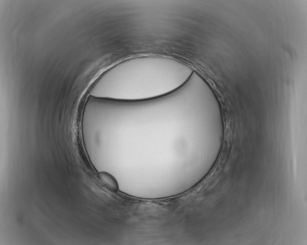 X0000114720290200910211057