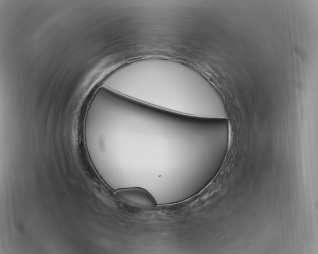 X0000114720291200910211057