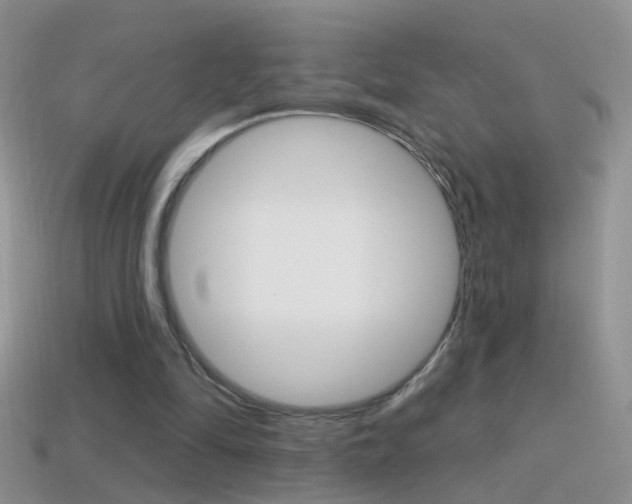 X0000114720294200910211057