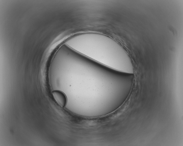 X0000114720295200910211057