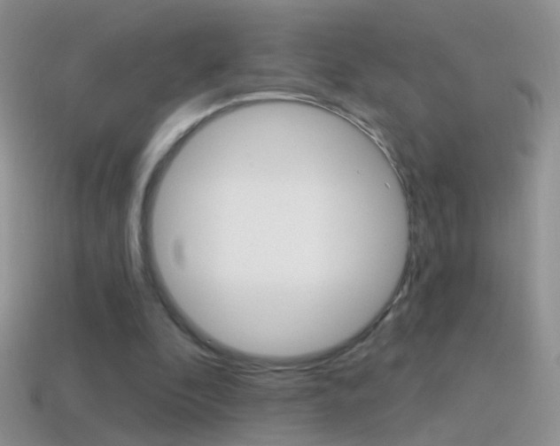 X0000114720296200910211057