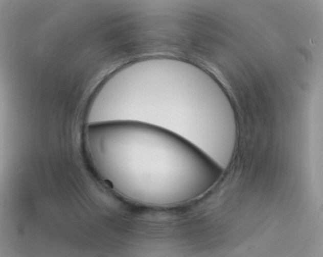 X0000114720299200910211057