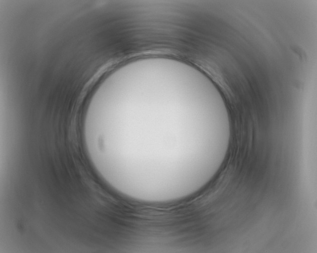 X0000114720300200910211057