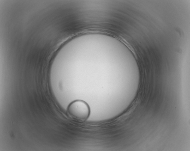 X0000114720301200910211057