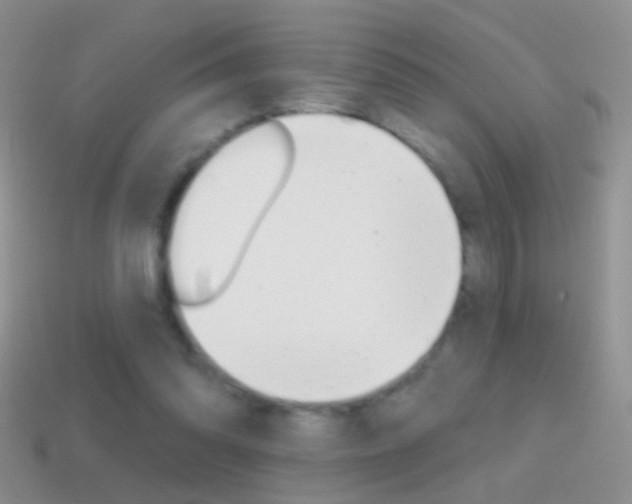 X0000114720302200910211057