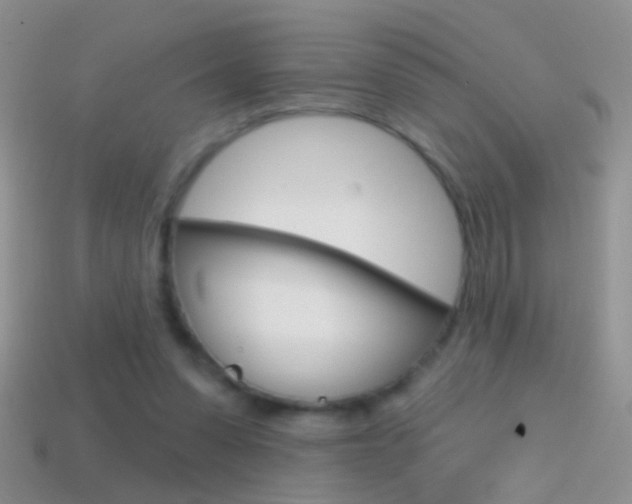 X0000114720303200910211057