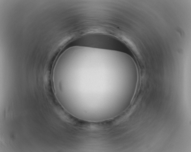 X0000114720305200910211057