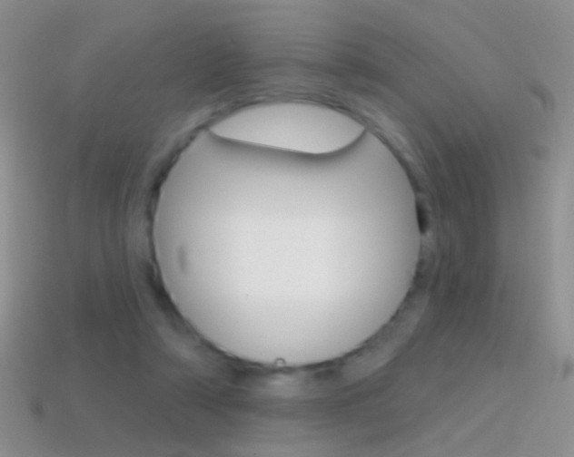 X0000114720306200910211057