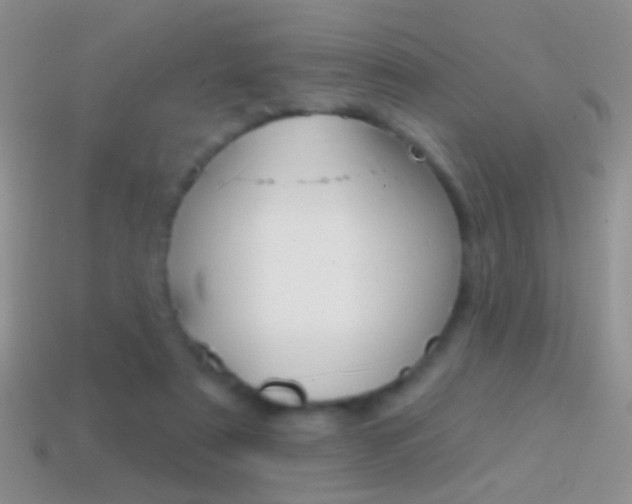 X0000114720307200910211057