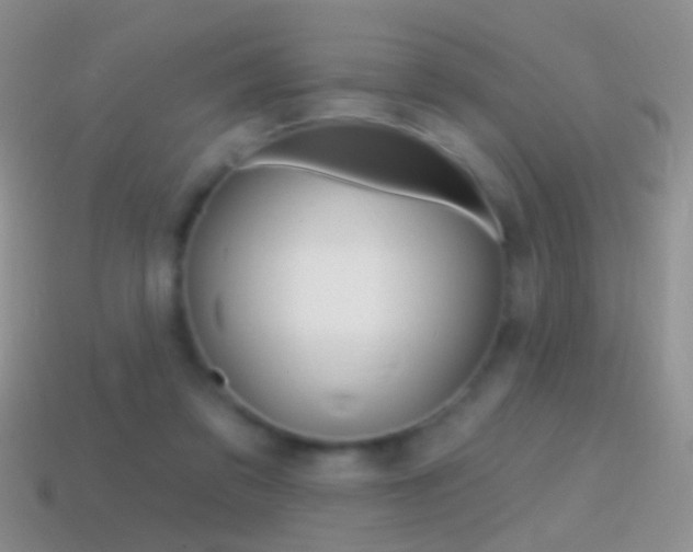 X0000114720309200910211057