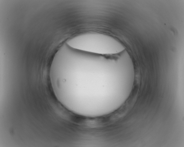 X0000114720314200910211057