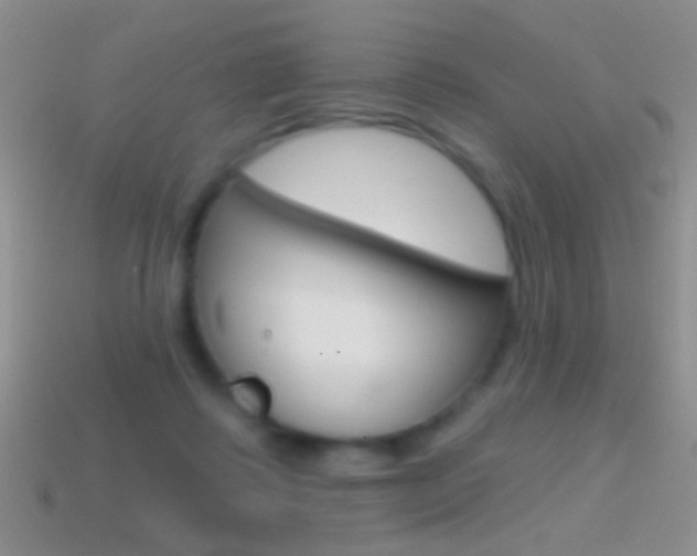 X0000114720315200910211057