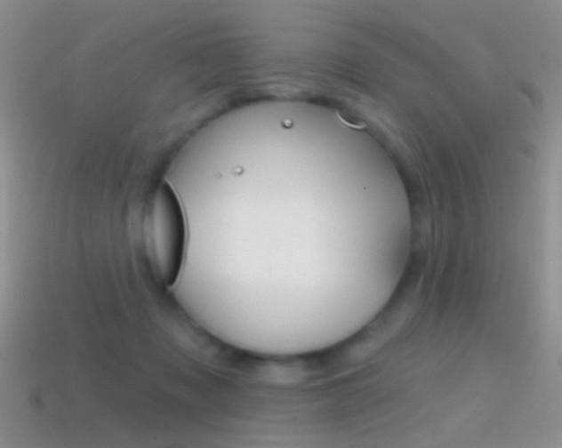 X0000114720317200910211057