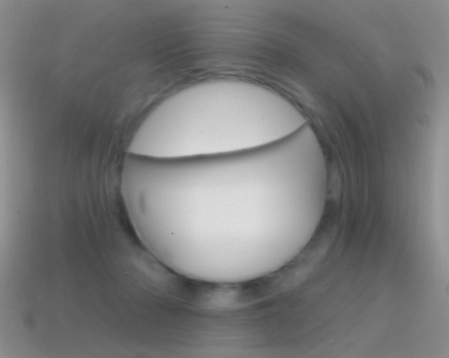 X0000114720318200910211057