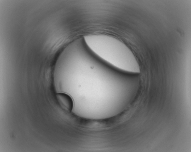 X0000114720319200910211057