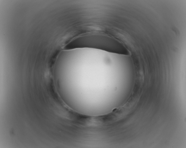 X0000114720320200910211057